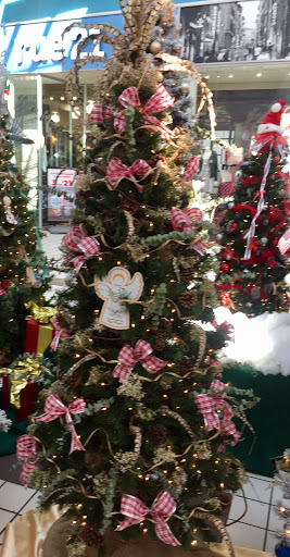 Pet Store «Species Pet Supply», reviews and photos, 1935 W Brandon Blvd, Brandon, FL 33511, USA