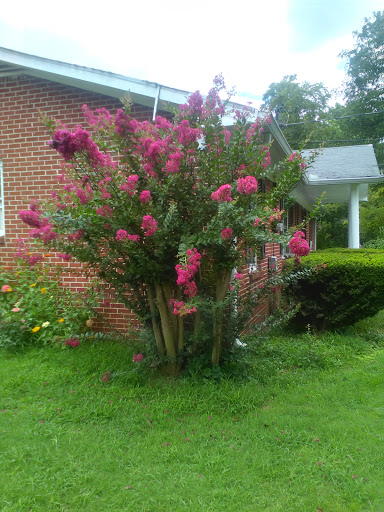 Park «Barfield Crescent Park», reviews and photos, 697 Veterans Pkwy, Murfreesboro, TN 37128, USA