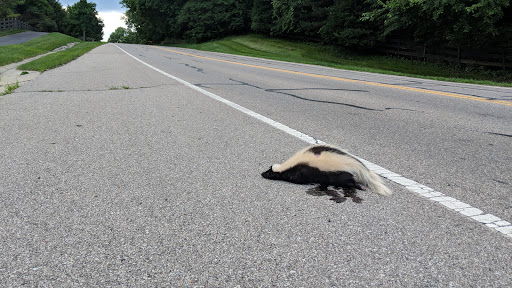 Golf Club «Muirfield Village Golf Club», reviews and photos, 5750 Memorial Dr, Dublin, OH 43017, USA