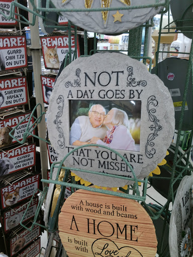 Hardware Store «Vision Ace Hardware», reviews and photos, 8538 Gunn Hwy #10, Odessa, FL 33556, USA