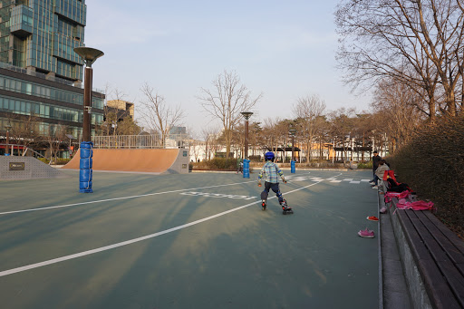 Seoul Forest Skate Park