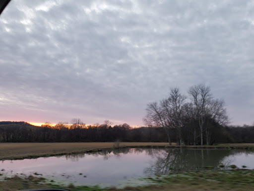 Discount Store «Dollar General», reviews and photos, 713 N Main St, Mt Pleasant, TN 38474, USA