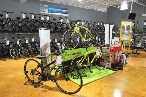 Bicycle Repair Shop «Bike America», reviews and photos, 270 Congress Ave, Boynton Beach, FL 33426, USA