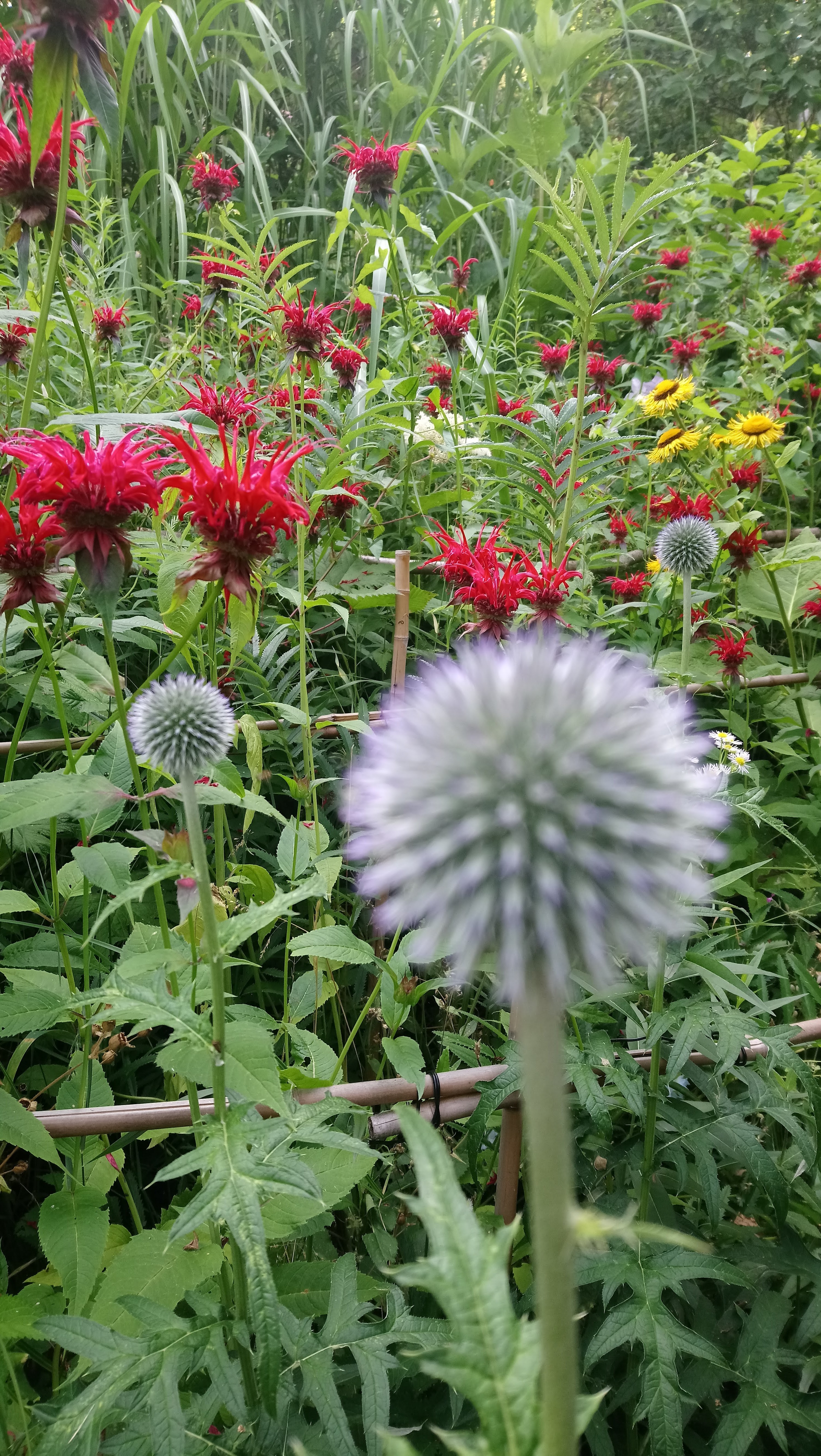 Photo n° 1 de l'avis de kar. fait le 22/07/2019 à 16:10