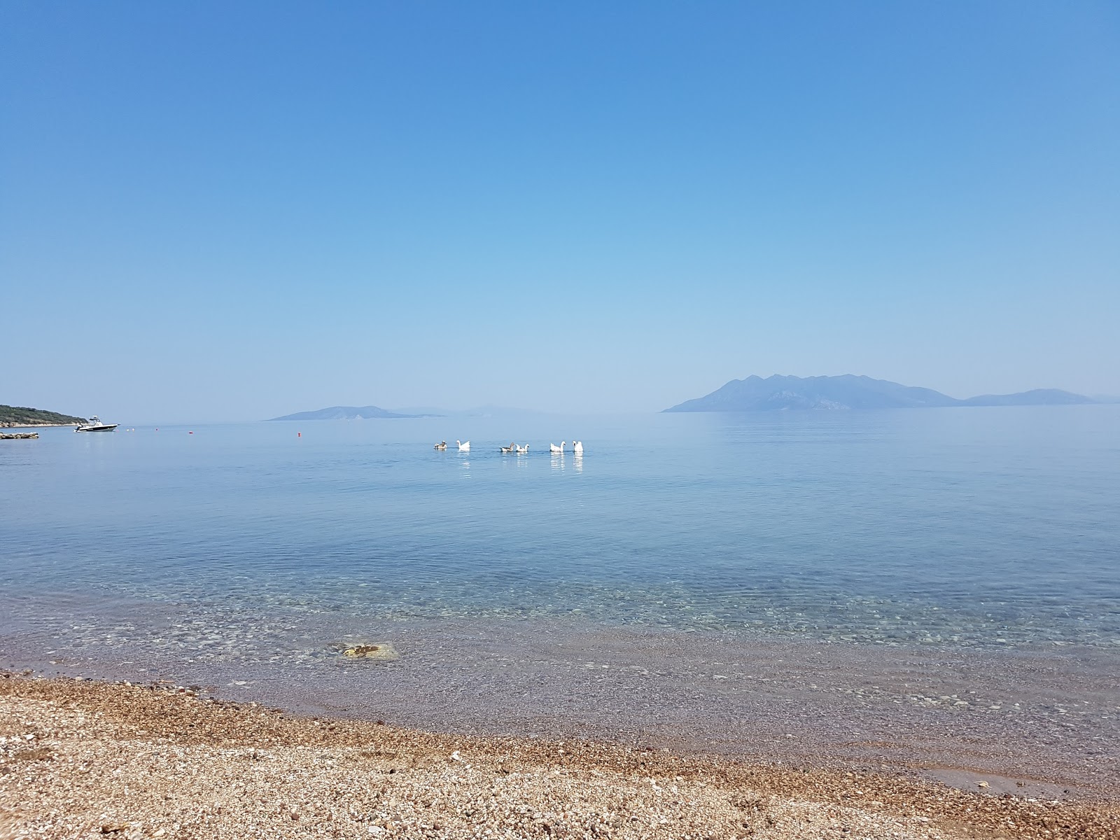 Foto af Kalamaki beach beliggende i naturområde