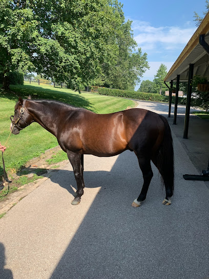 Bathroom Renovator, Paris, KY 
