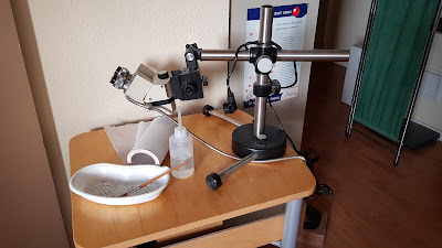 Dr SURET-CANALE - MEDECINE VASCULAIRE à Haguenau