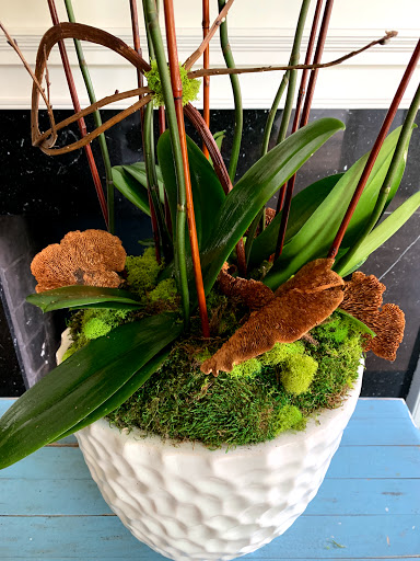 Florist «Chelsea Floral Designs», reviews and photos, 3094 E Shadowlawn Ave NE, Atlanta, GA 30305, USA