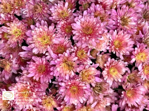 Florist «Flower Allie», reviews and photos, 2491 E Chapman Ave, Fullerton, CA 92831, USA