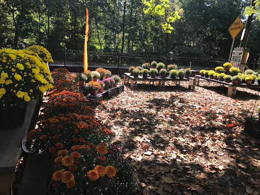 Garden Center «Chestnut Hill Flower & Garden», reviews and photos, 7639 Germantown Ave, Philadelphia, PA 19118, USA