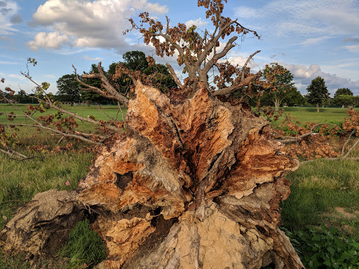 Golf Course «Reeves Golf Course», reviews and photos, 4757 Playfield Ln, Cincinnati, OH 45226, USA