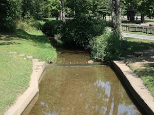 Christmas Run Park - photo 97