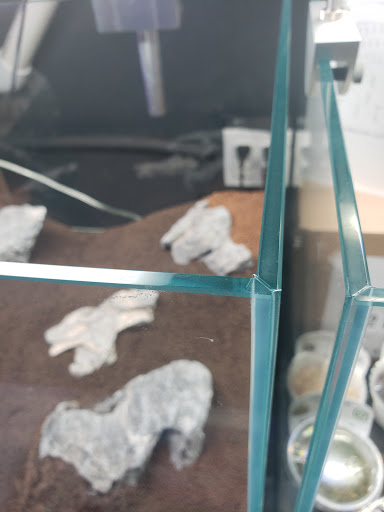 Tropical Fish Store «Manhattan Aquariums», reviews and photos, 522 W 37th St, New York, NY 10018, USA