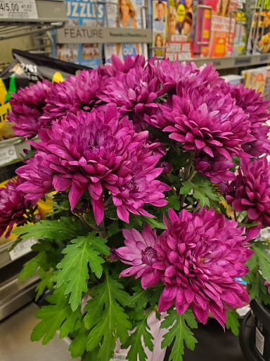 Supermarket «Publix Super Market at Dunlawton Square», reviews and photos, 3821 S Nova Rd, Port Orange, FL 32127, USA