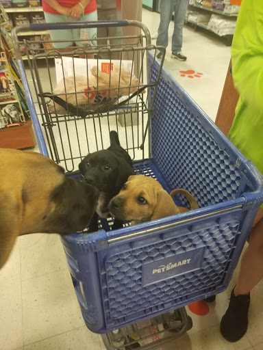 Pet Supply Store «PetSmart», reviews and photos, 15134 Crossroads Pkwy, Gulfport, MS 39503, USA
