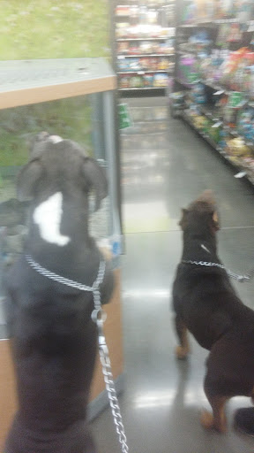 Pet Supply Store «Petco Animal Supplies», reviews and photos, 12444 NW 10th St #301, Yukon, OK 73099, USA