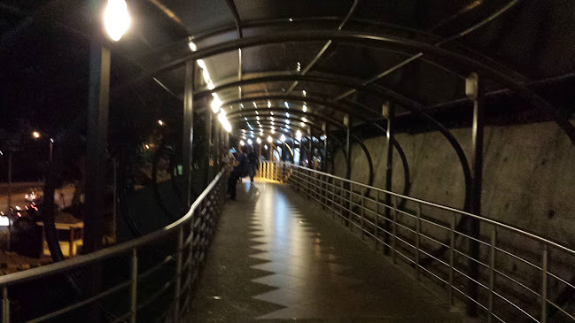 Paso Elevado Peatonal y Comercial - Centro comercial