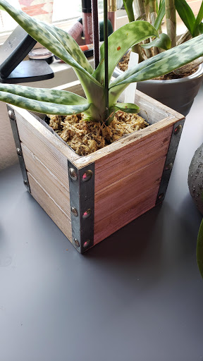 Florist «Island Orchids», reviews and photos, 2204 W Colorado Ave, Colorado Springs, CO 80904, USA