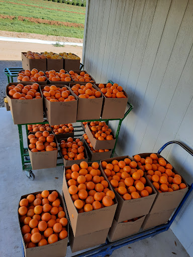 Produce Market «Orange Patch», reviews and photos, 2717 E Lehi Rd, Mesa, AZ 85213, USA