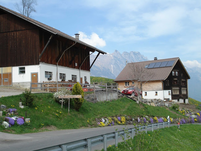 Schlegel-Hof - Buchs