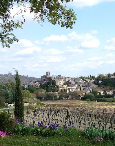 Vignobles Mont Thabor à Beaumont-de-Pertuis