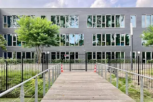 The International School of The Hague image