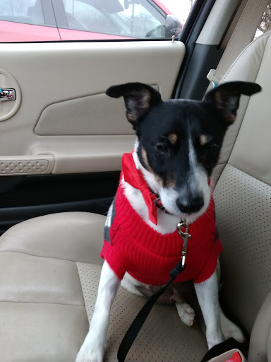 Pet Supply Store «Petco Animal Supplies», reviews and photos, 3860 Elmore Avenue, Davenport, IA 52807, USA