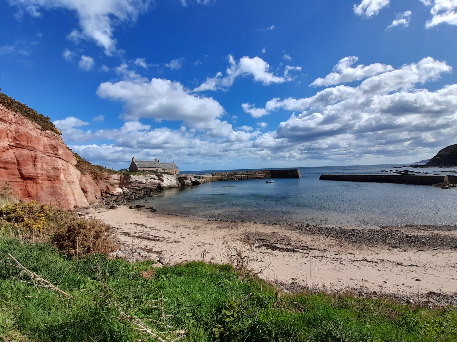 Cove Harbour'in fotoğrafı küçük koy ile birlikte