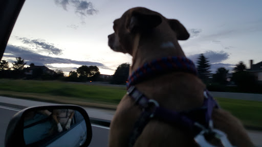 Golf Club «Bear Creek Golf Club», reviews and photos, 12201 Morrison Rd, Denver, CO 80228, USA