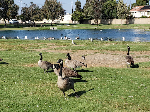 Park «Greer Park», reviews and photos, 6900 W McFadden Ave, Huntington Beach, CA 92647, USA
