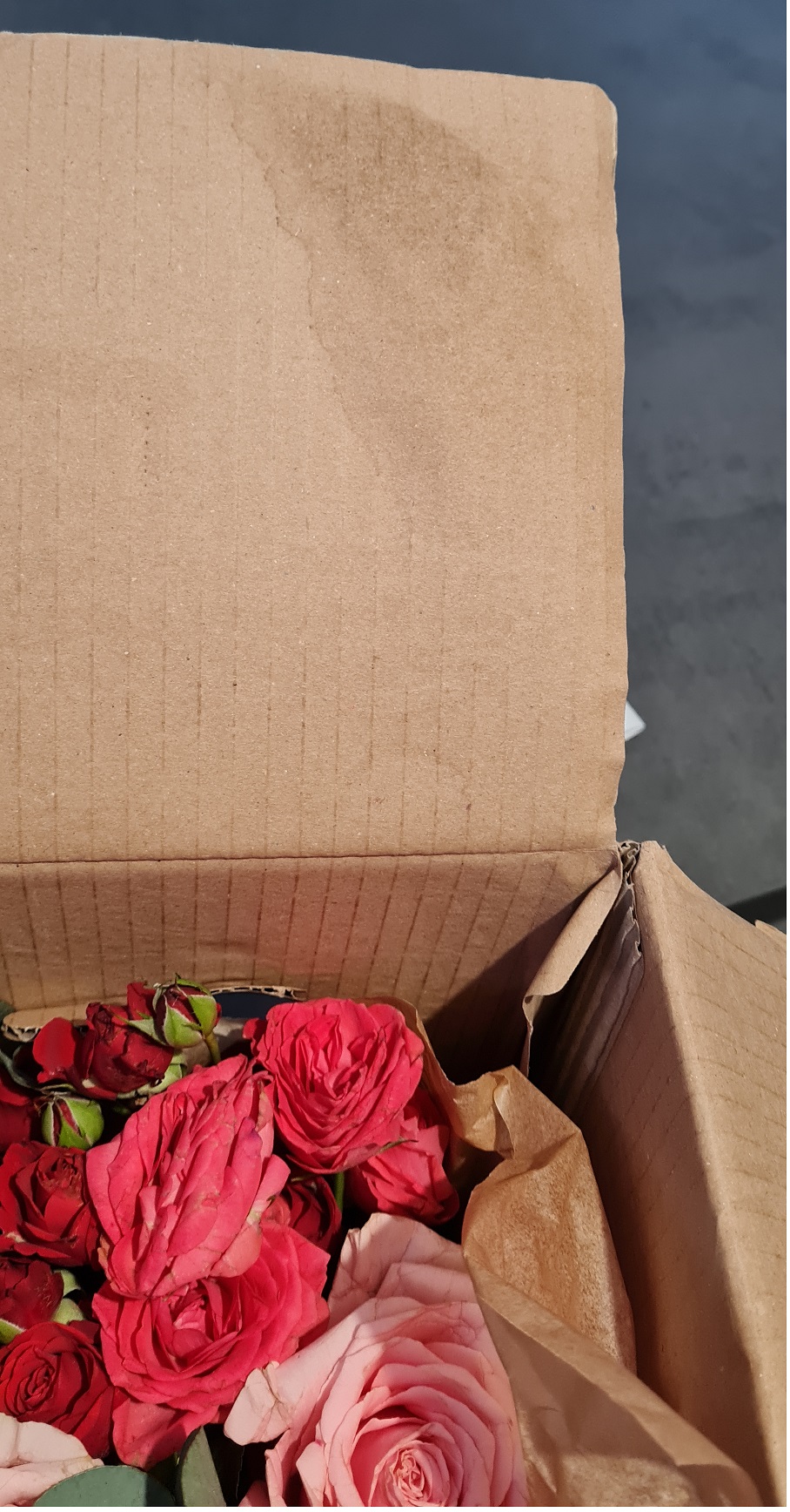Photo n° 3 de l'avis de Stéphane. fait le 14/02/2021 à 19:53