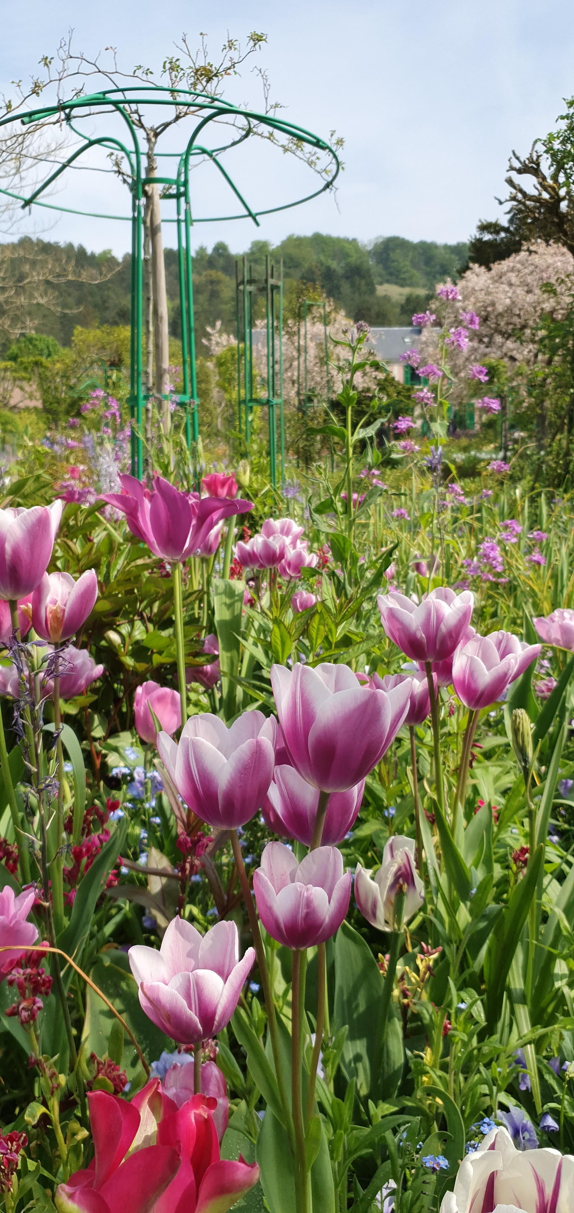 Photo n° 4 de l'avis de CS.. fait le 03/06/2022 à 19:41