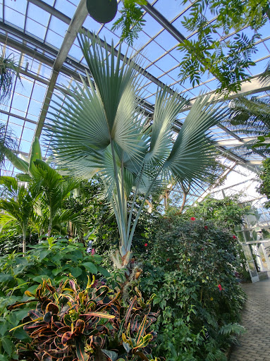 Park «Garfield Park», reviews and photos, 2505 Conservatory Dr, Indianapolis, IN 46203, USA