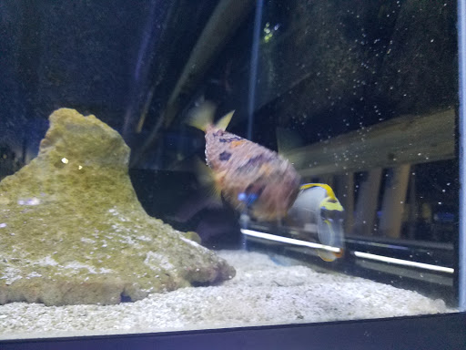 Tropical Fish Store «Living Art Aquarium», reviews and photos, 708 S Gammon Rd, Madison, WI 53719, USA