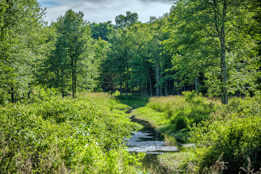 State Park «Highland Lakes State Park», reviews and photos, 55-223 Tamms Rd, Middletown, NY 10941, USA