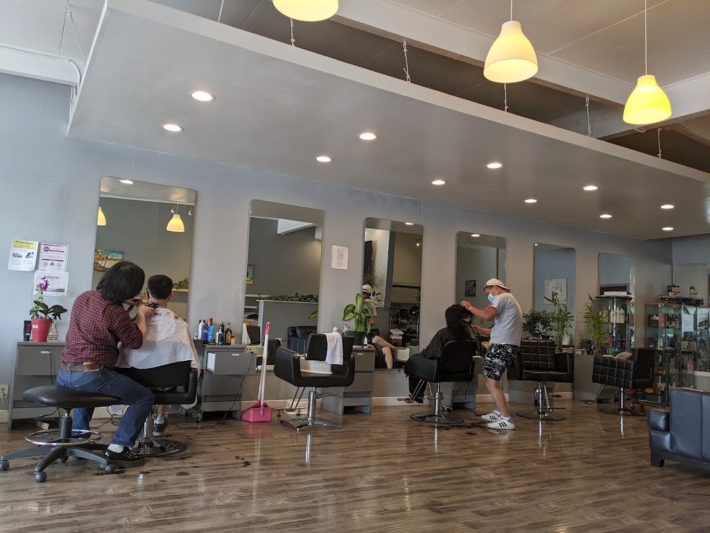 Hair We Go 95014