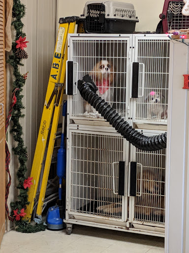 Dara's Personal Touch