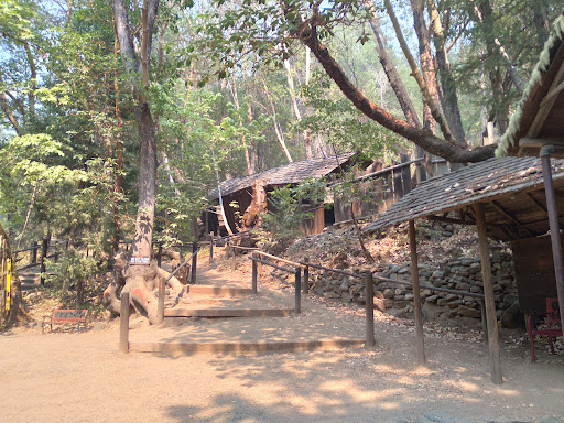 Tourist Attraction «Oregon Vortex», reviews and photos, 4303 Sardine Creek L Fork Rd, Gold Hill, OR 97525, USA