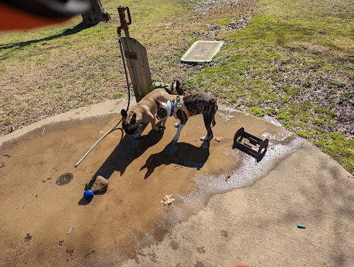 Dog Park «MacArthur Dog Park», reviews and photos, 601 E 9th St, Little Rock, AR 72202, USA