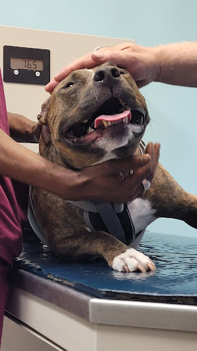 1746 Litchfield Turnpike, Woodbridge, CT 06525, USA