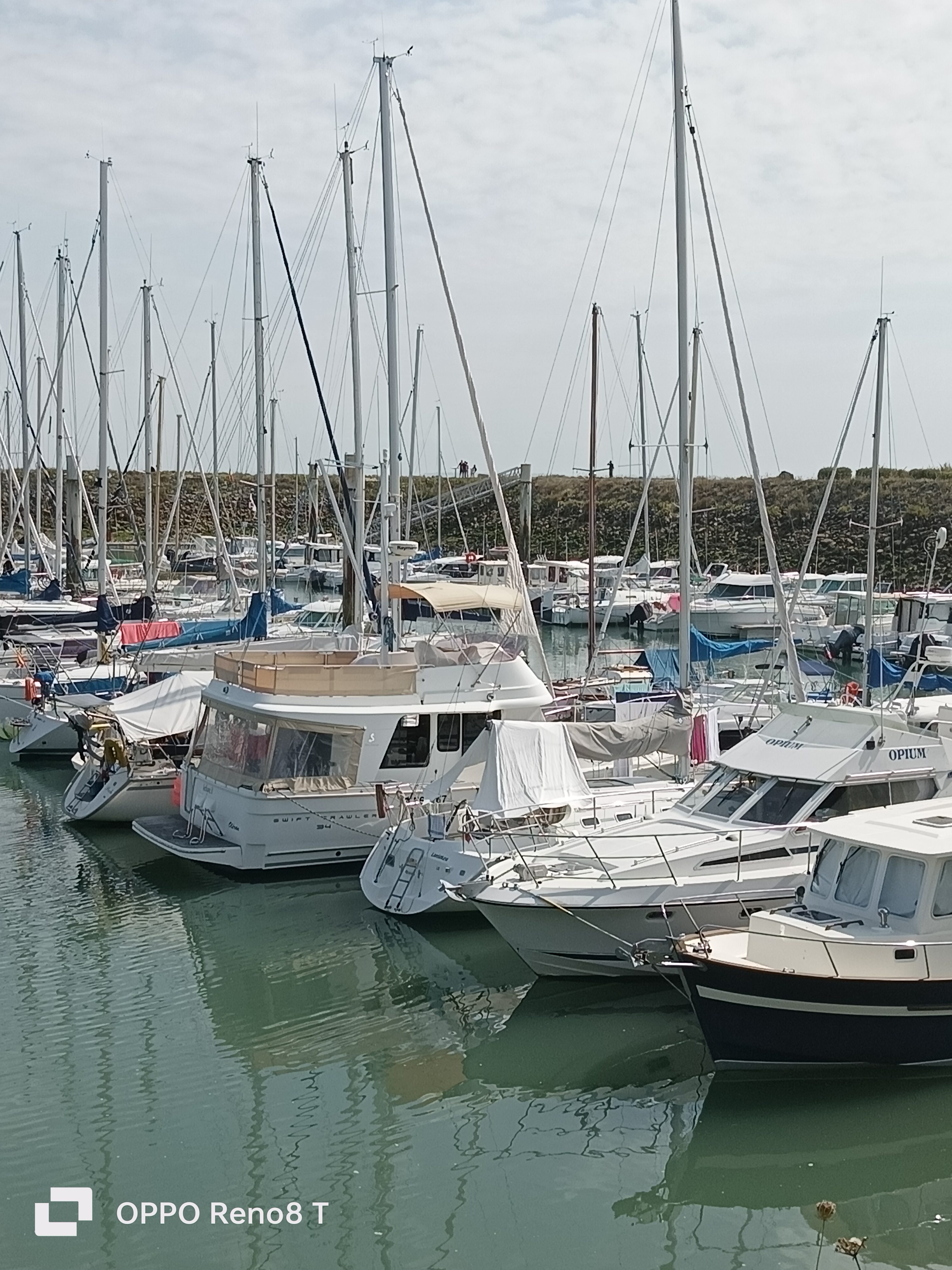 Photo n° 4 de l'avis de M-G. fait le 17/08/2023 à 12:46