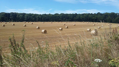 Fondation John BOST - Site de la Clé pour l'autisme à Jouy-le-Moutier