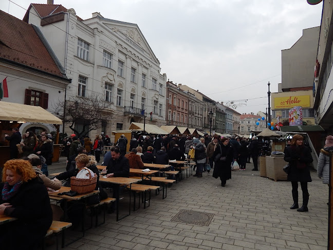 NAV Észak-magyarországi Regionális Vám- és Pénzügyőri Főigazgatósága - Miskolc