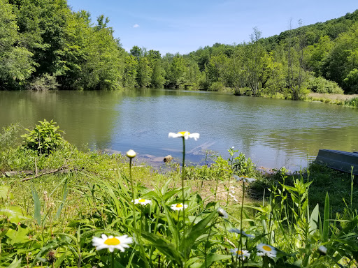 Gift Shop «Stonehedge Gardens», reviews and photos, 51 Dairy Rd, Tamaqua, PA 18252, USA
