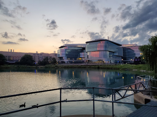 Ice Cream Shop «Cold Stone Creamery», reviews and photos, 1611 Sherman Ave, Evanston, IL 60201, USA