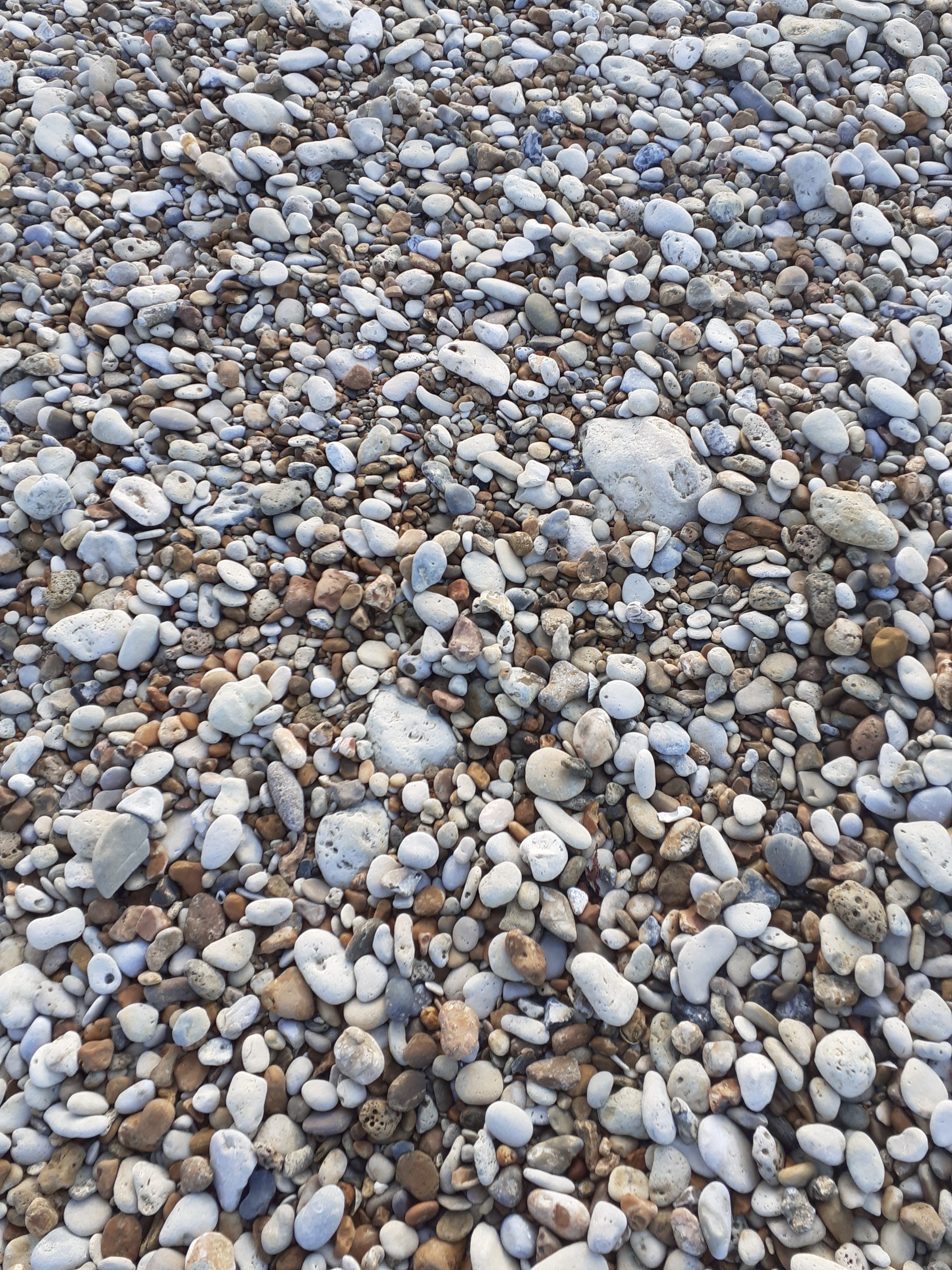 Photo n° 2 de l'avis de Felix.s fait le 21/11/2019 à 20:21
