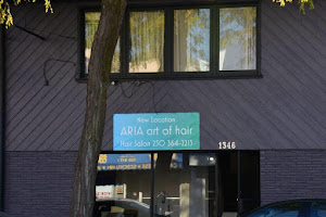 Aria Art Of Hair