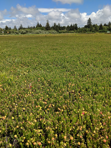 Museum «Cranberry Museum», reviews and photos, 2907 Pioneer Rd, Long Beach, WA 98631, USA