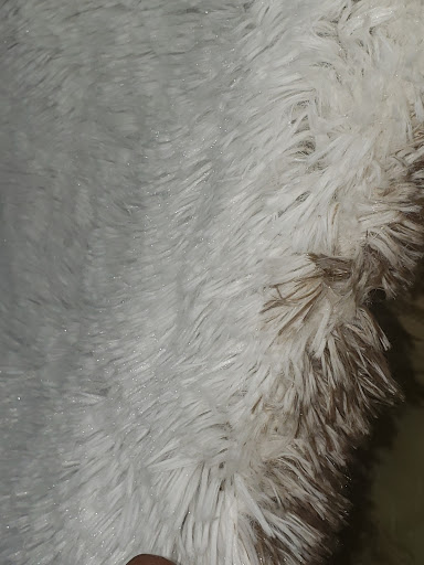 Fabric Store «Warehouse Fabrics Inc», reviews and photos, 1726 US-43, Winfield, AL 35594, USA