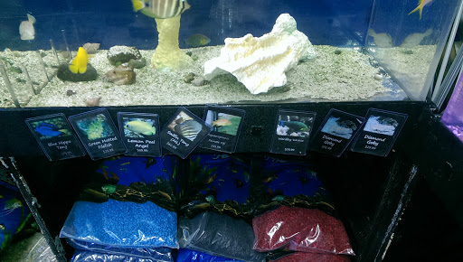 Tropical Fish Store «Aquatic Design», reviews and photos, 1629 N Central Expy, Plano, TX 75075, USA